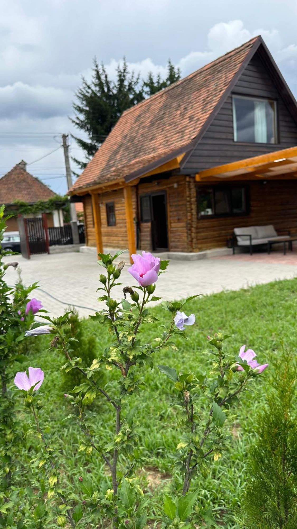 Case de vacanță Casuta Cu Tihna *