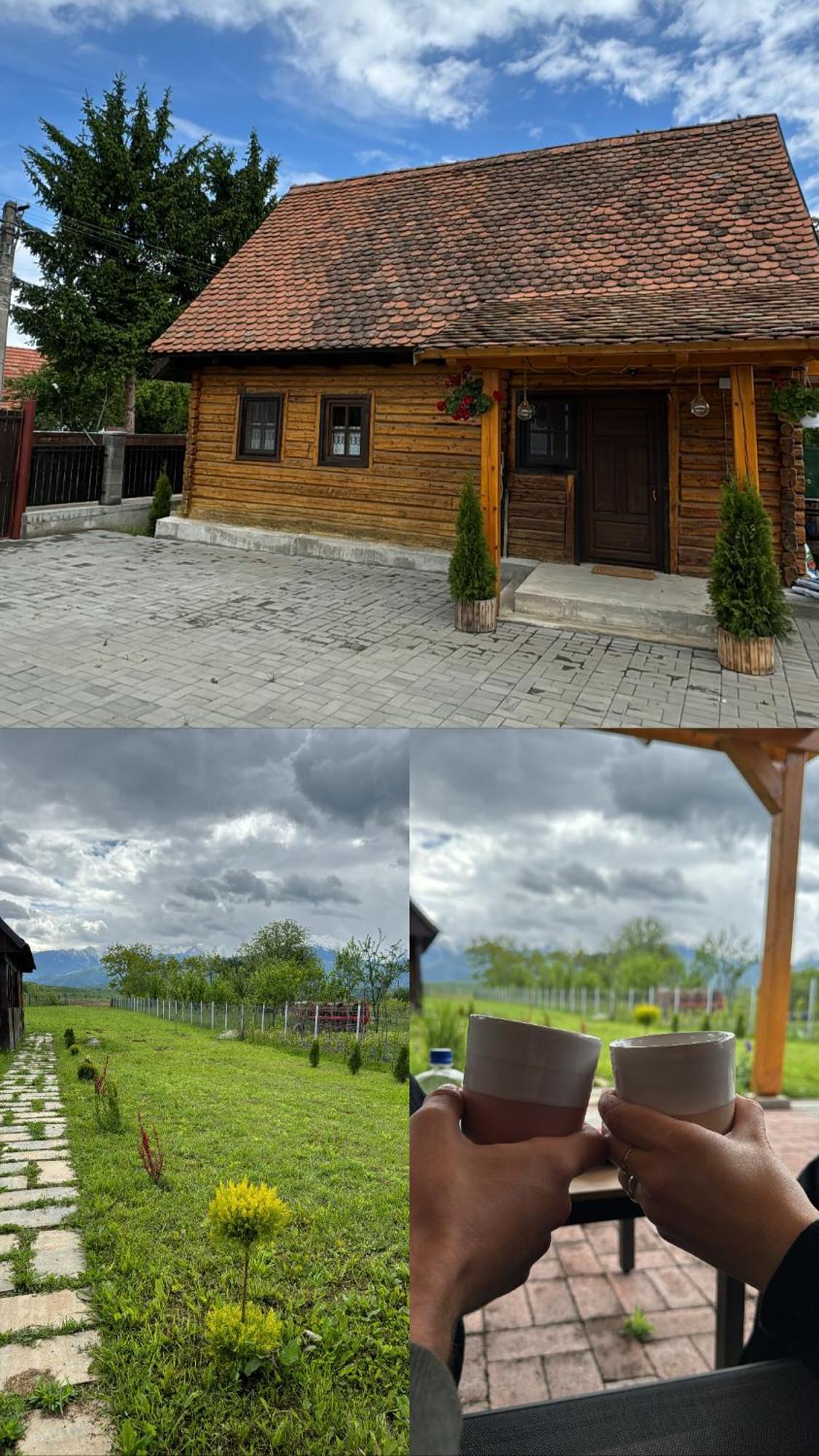 Casuta Cu Tihna Hébergement de vacances